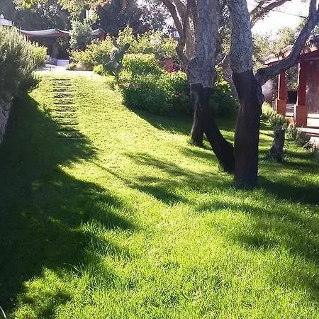 Bed & Breakfast La Quercia Verde Arbus