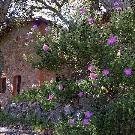 Bed & Breakfast La Quercia Verde Arbus