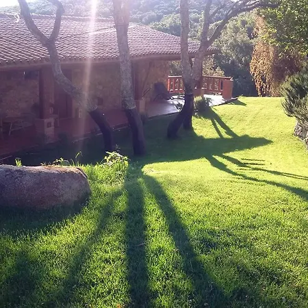 La Quercia Verde *